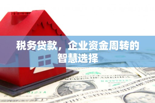 安定税务贷款，企业资金周转的智慧选择
