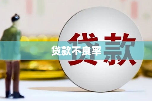 安定贷款不良率