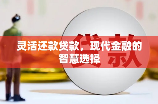 安定灵活还款贷款，现代金融的智慧选择