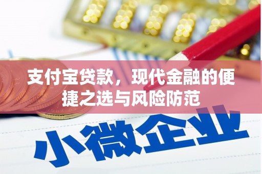 安定支付宝贷款，现代金融的便捷之选与风险防范