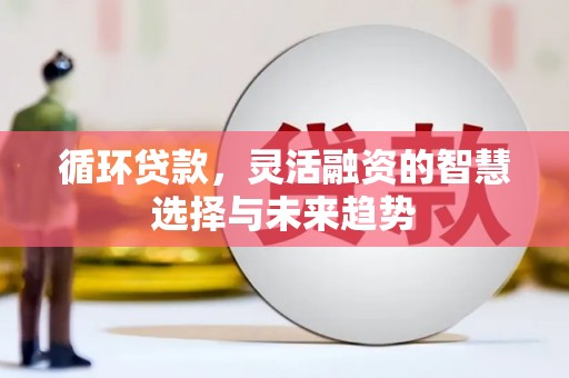 安定循环贷款，灵活融资的智慧选择与未来趋势