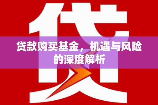 安定贷款购买基金，机遇与风险的深度解析