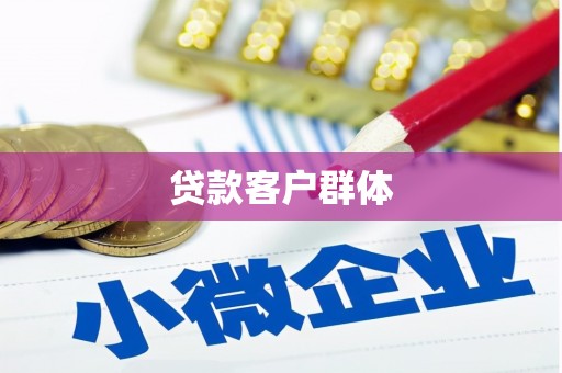 安定贷款客户群体