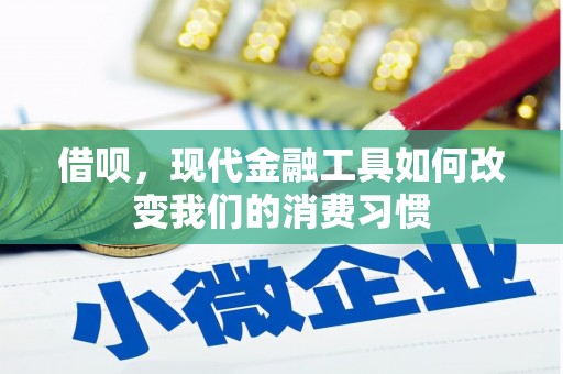 安定借呗，现代金融工具如何改变我们的消费习惯