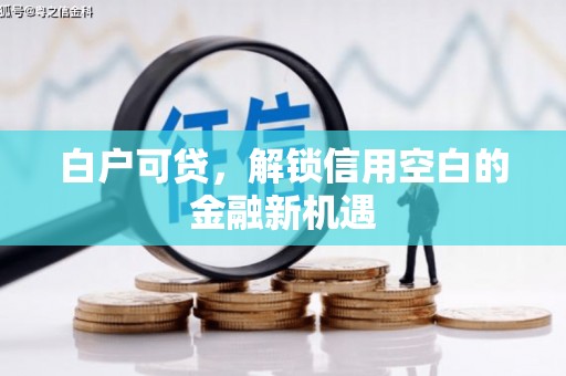 安定白户可贷，解锁信用空白的金融新机遇