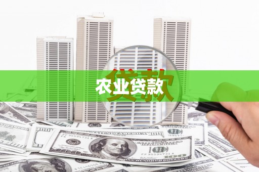 安定农业贷款