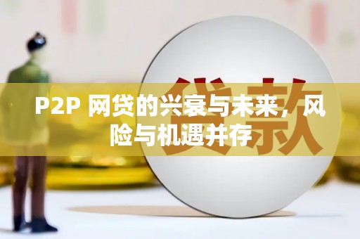 安定P2P 网贷的兴衰与未来，风险与机遇并存