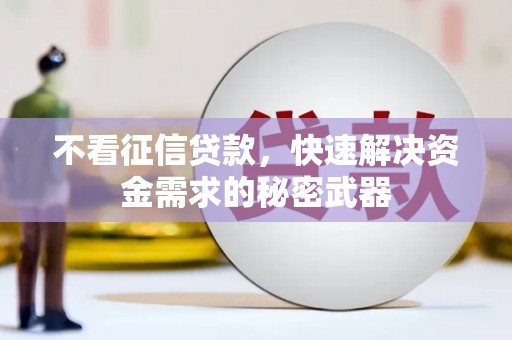 安定不看征信贷款，快速解决资金需求的秘密武器