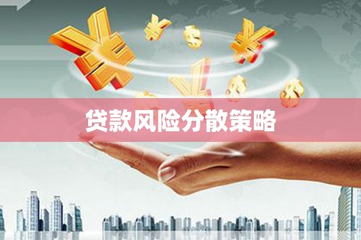 安定贷款风险分散策略