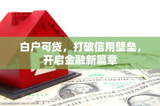 安定白户可贷，打破信用壁垒，开启金融新篇章
