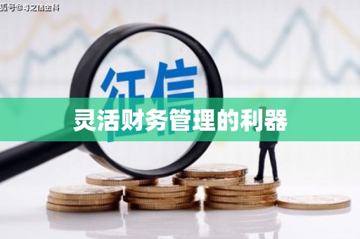 安定灵活财务管理的利器