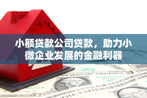 安定小额贷款公司贷款，助力小微企业发展的金融利器