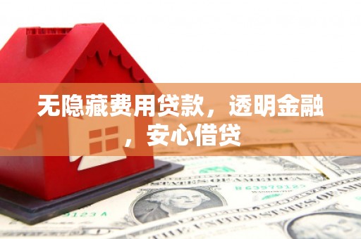 安定无隐藏费用贷款，透明金融，安心借贷