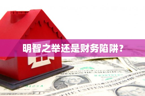 安定明智之举还是财务陷阱？