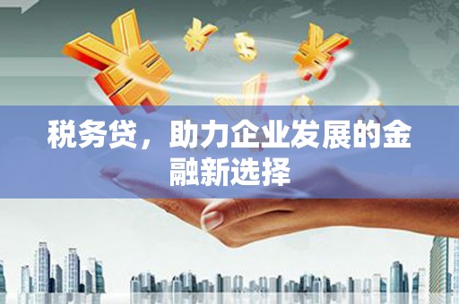 安定税务贷，助力企业发展的金融新选择