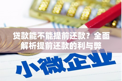 安定贷款能不能提前还款？全面解析提前还款的利与弊