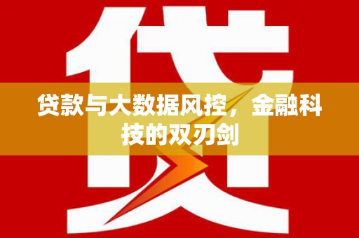 安定贷款与大数据风控，金融科技的双刃剑