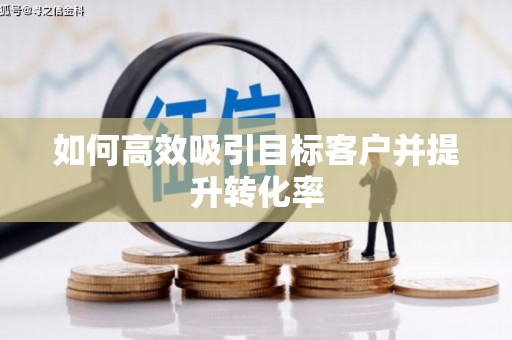 安定如何高效吸引目标客户并提升转化率