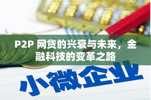 安定P2P 网贷的兴衰与未来，金融科技的变革之路