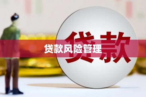 安定贷款风险管理