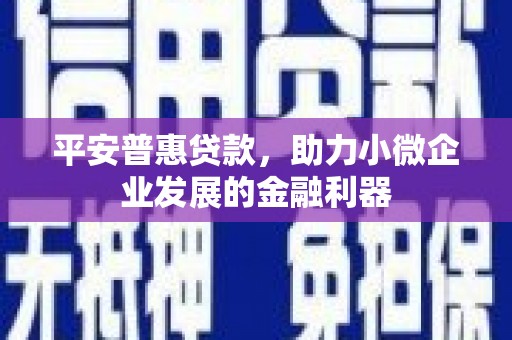 安定平安普惠贷款，助力小微企业发展的金融利器