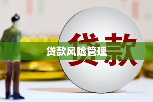 安定贷款风险管理