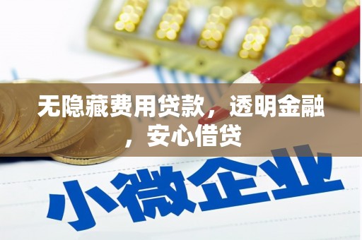 安定无隐藏费用贷款，透明金融，安心借贷