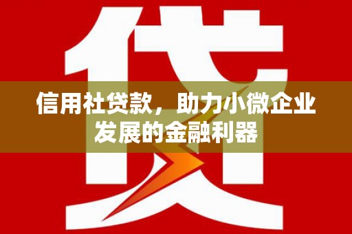 安定信用社贷款，助力小微企业发展的金融利器