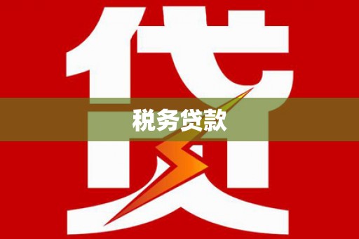 安定税务贷款