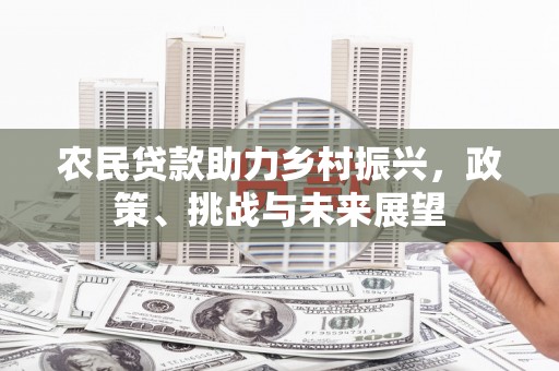 安定农民贷款助力乡村振兴，政策、挑战与未来展望