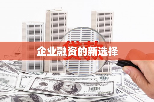 安定企业融资的新选择