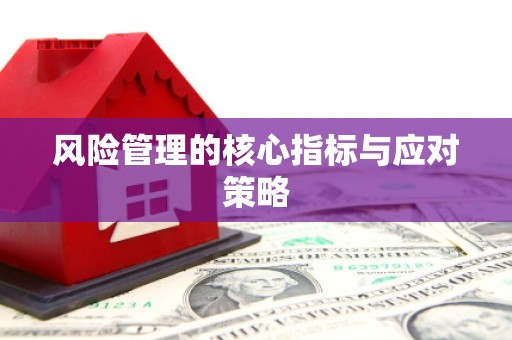 安定风险管理的核心指标与应对策略