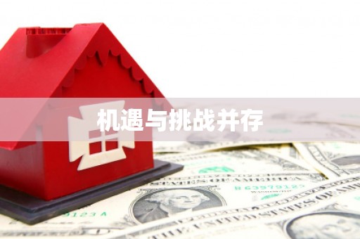 安定机遇与挑战并存