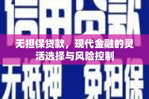 安定无担保贷款，现代金融的灵活选择与风险控制