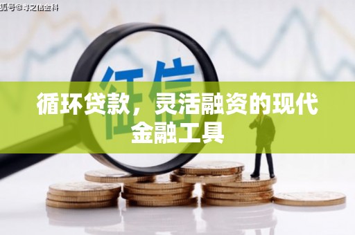 安定循环贷款，灵活融资的现代金融工具
