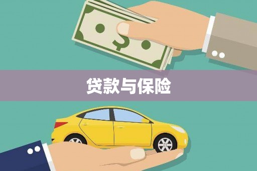 安定贷款与保险