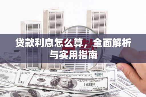 安定贷款利息怎么算，全面解析与实用指南