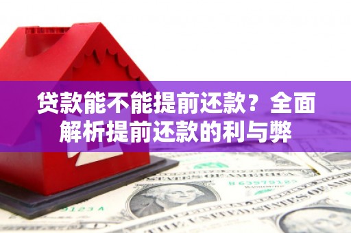 安定贷款能不能提前还款？全面解析提前还款的利与弊
