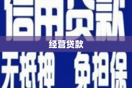 安定经营贷款
