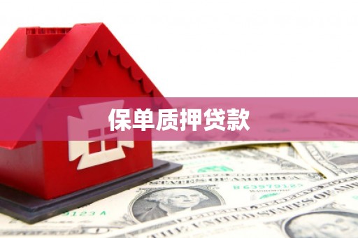 安定保单质押贷款
