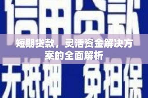 安定短期贷款，灵活资金解决方案的全面解析