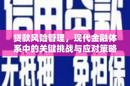 安定贷款风险管理，现代金融体系中的关键挑战与应对策略