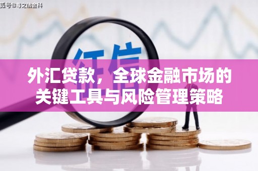 安定外汇贷款，全球金融市场的关键工具与风险管理策略