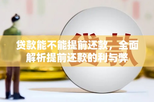 安定贷款能不能提前还款，全面解析提前还款的利与弊