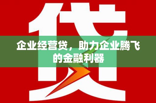 安定企业经营贷，助力企业腾飞的金融利器
