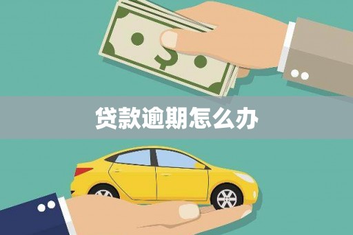 安定贷款逾期怎么办