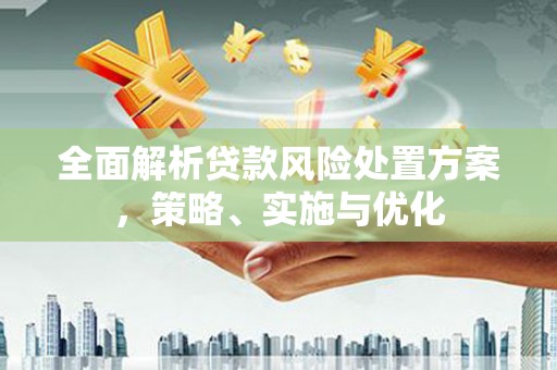 安定全面解析贷款风险处置方案，策略、实施与优化