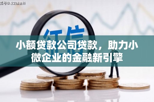 安定小额贷款公司贷款，助力小微企业的金融新引擎