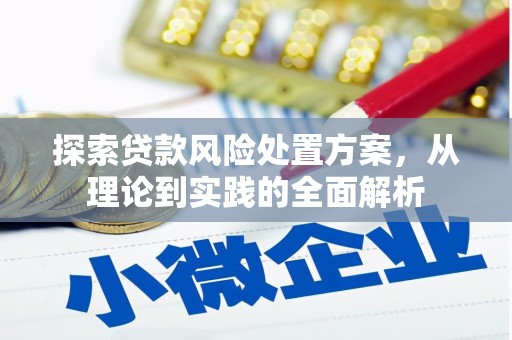 安定探索贷款风险处置方案，从理论到实践的全面解析