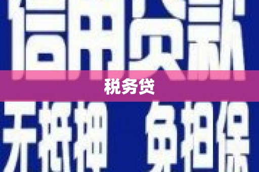 安定税务贷